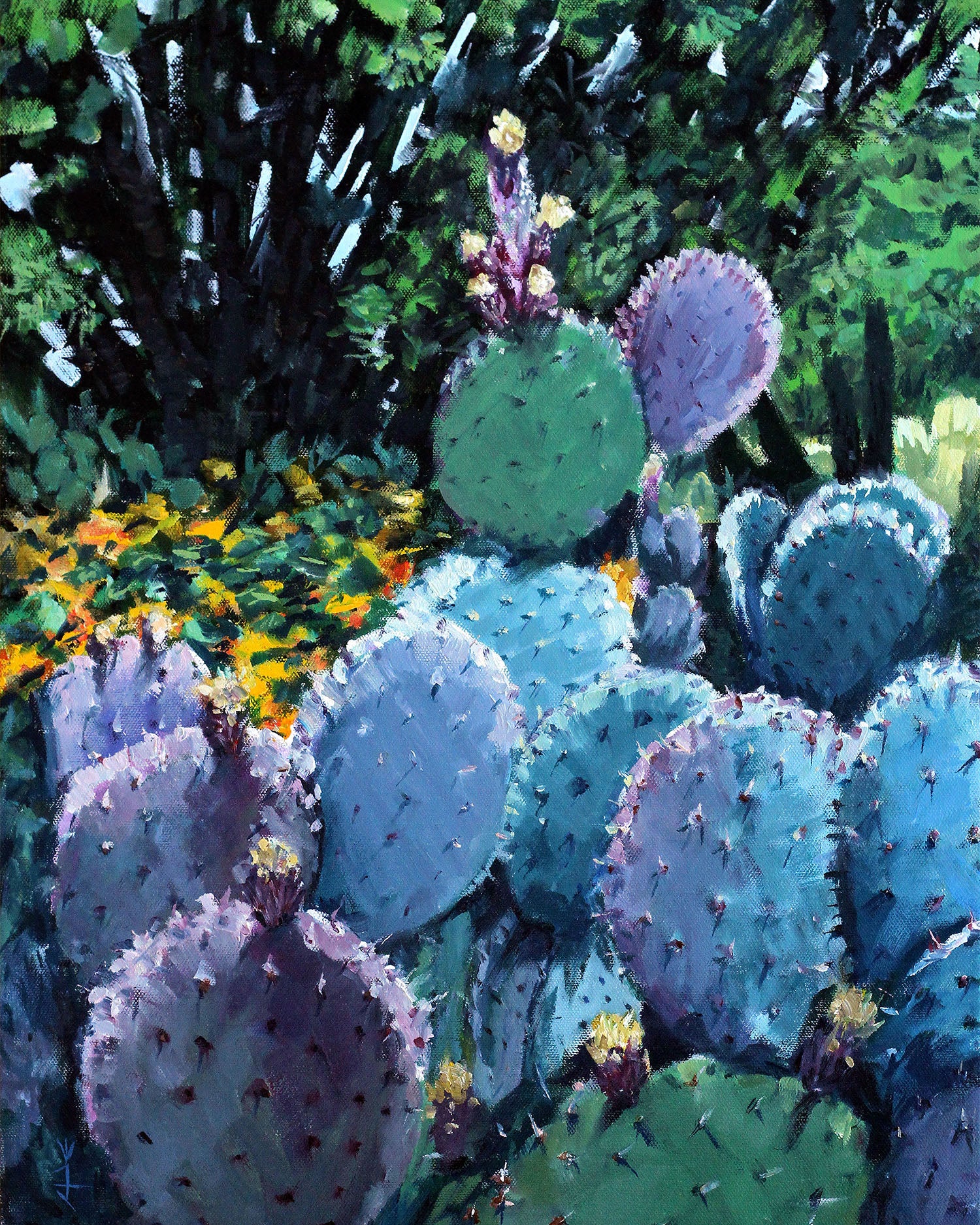 Cactus Bloom - Framed Canvas Print