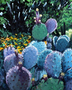 Cactus Bloom - Framed Canvas Print